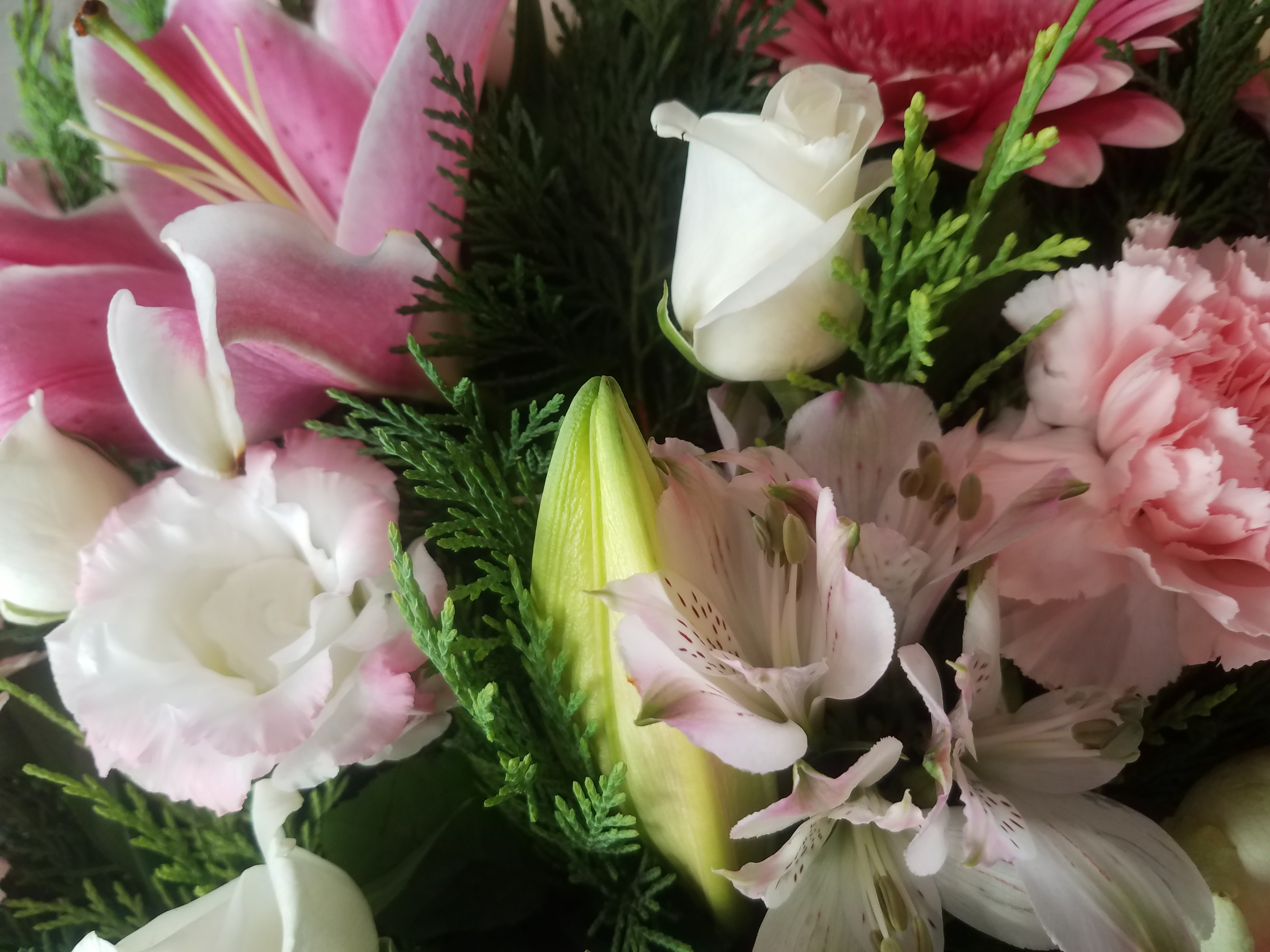 Code Promo Entre Fleuriste Livraison Gratuite BOUQUET bulle TON ROSE de COQUELICOT Communay Artisan Fleuriste Créateur à  Communay - Ma Ville Mon Shopping